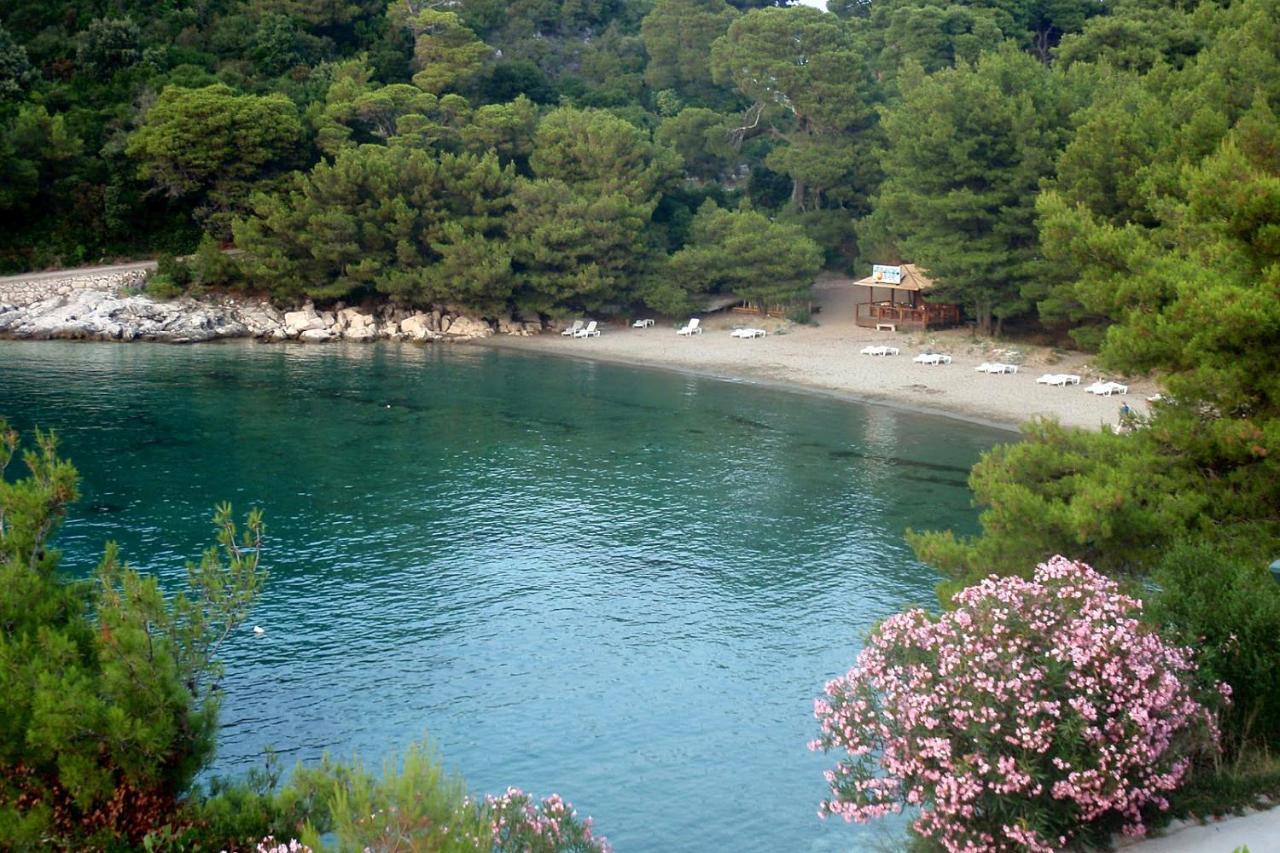 Apartments By The Sea Cove Blaca, Mljet - 4899 Saplunara Exteriér fotografie